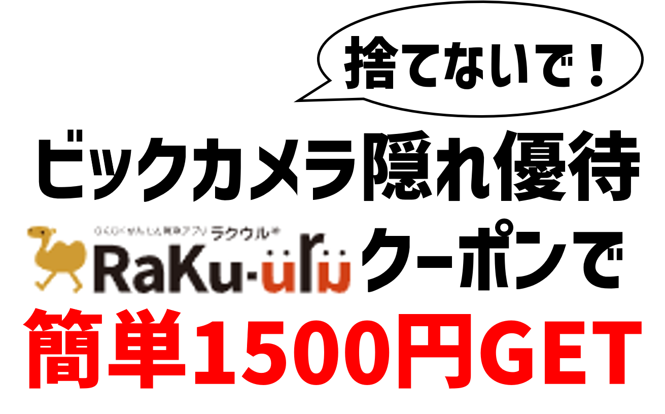 絶妙なデザイン ビックカメラ 株主優待15 000円分 ラクウル券3枚 Plazamedspa Com